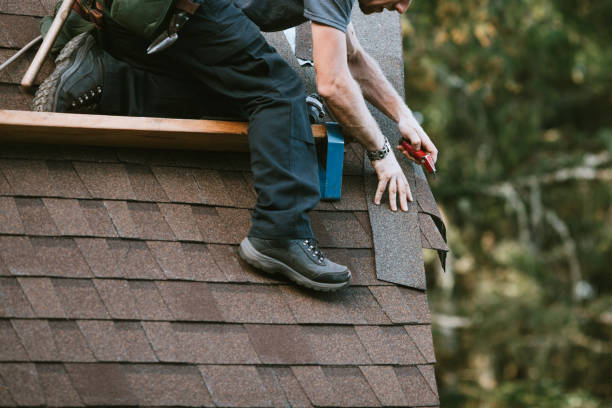 Roof Gutter Cleaning in Cleveland, GA